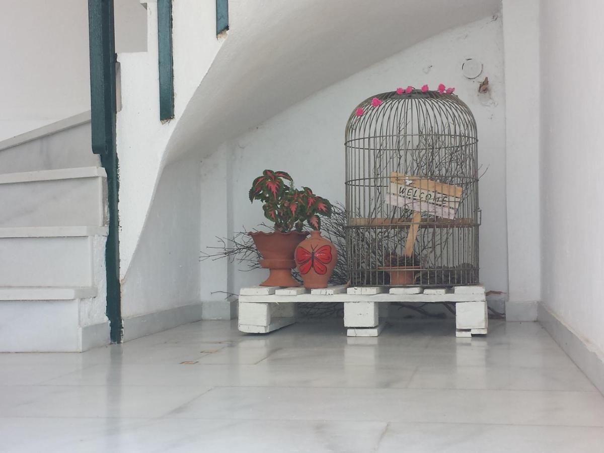 Smile House Near Athens Airport 300M From The Sea Villa Artemida  Ngoại thất bức ảnh