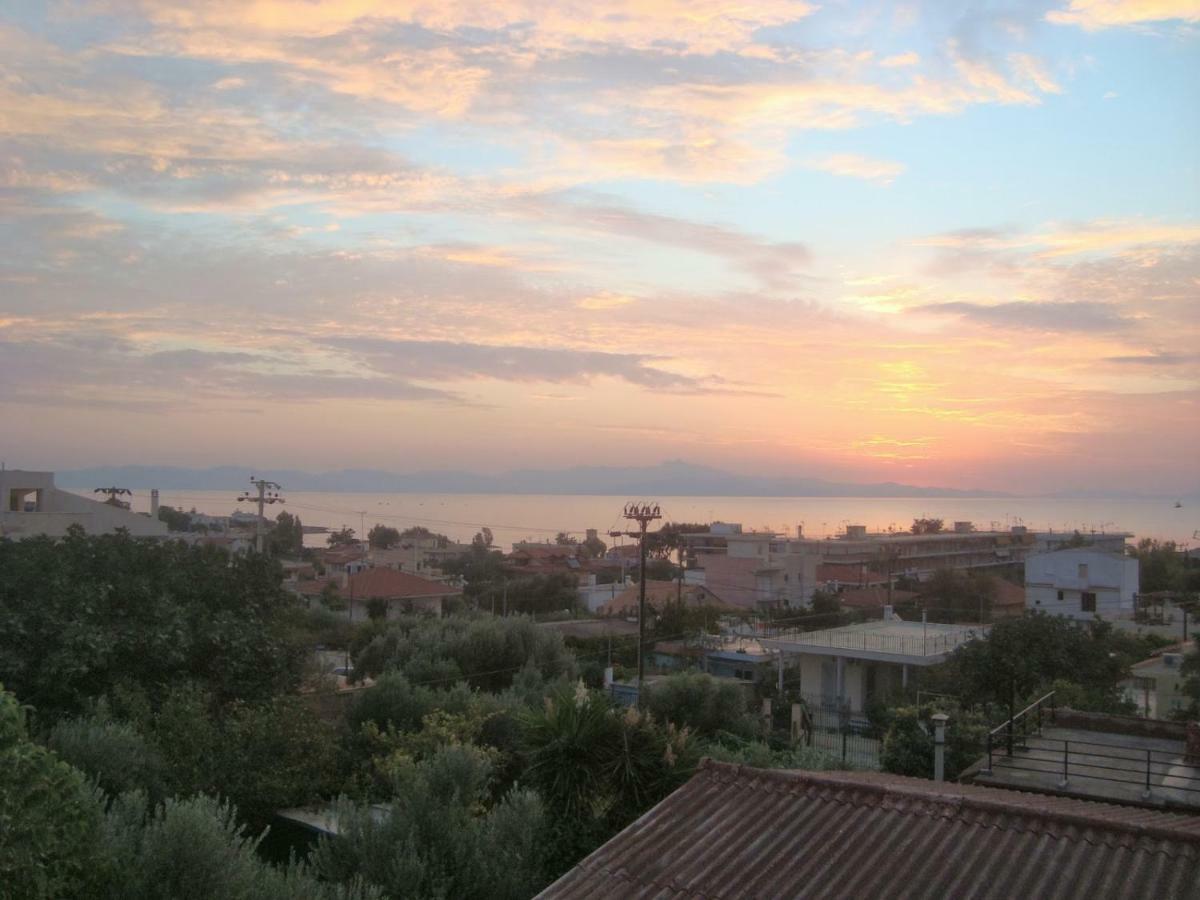 Smile House Near Athens Airport 300M From The Sea Villa Artemida  Ngoại thất bức ảnh