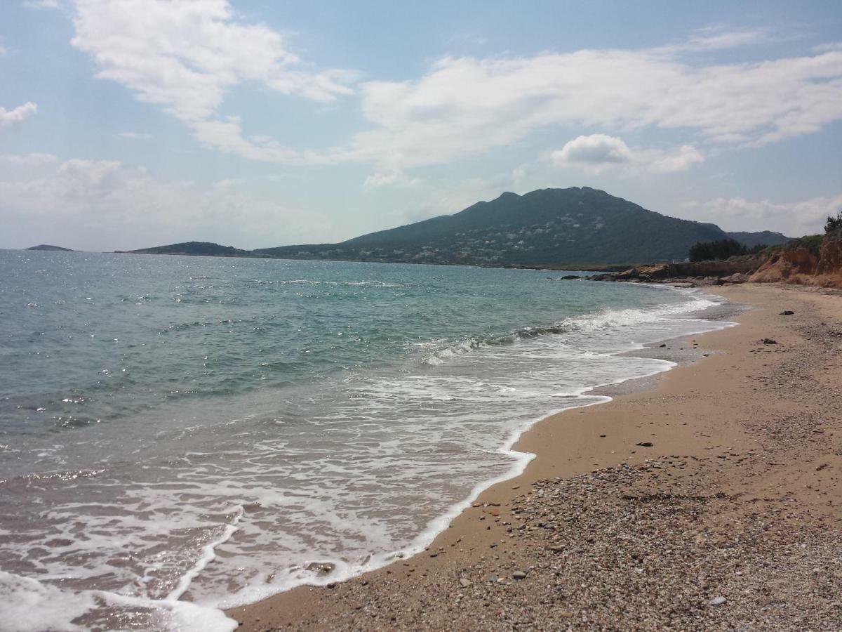 Smile House Near Athens Airport 300M From The Sea Villa Artemida  Ngoại thất bức ảnh
