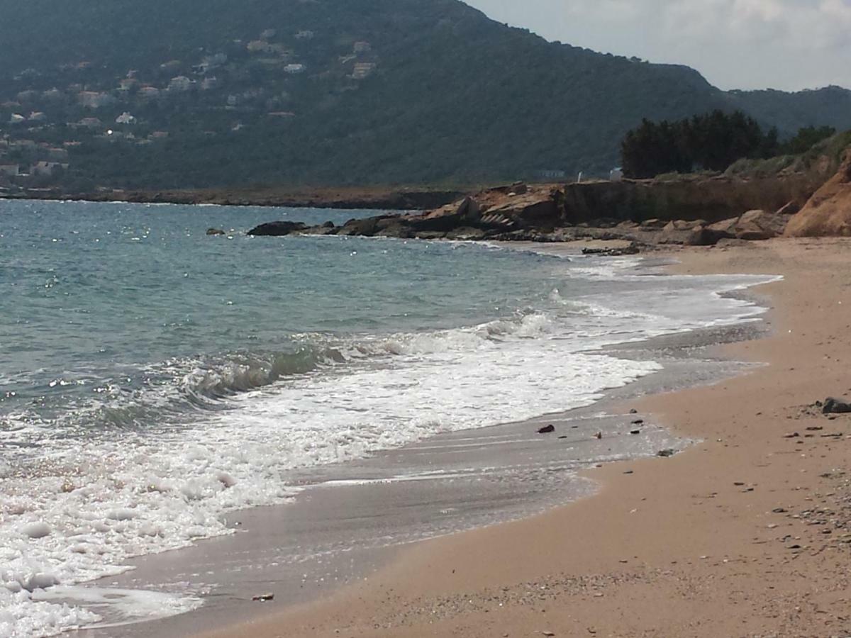 Smile House Near Athens Airport 300M From The Sea Villa Artemida  Ngoại thất bức ảnh